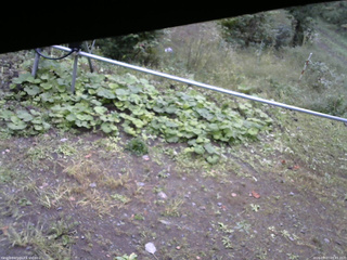 長野県菅平高原 ゆたか山荘 駐車場 2026/09/27 08:45