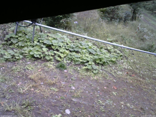長野県菅平高原 ゆたか山荘 駐車場 2026/09/27 09:15