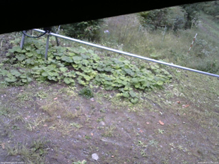 長野県菅平高原 ゆたか山荘 駐車場 2026/09/27 11:45
