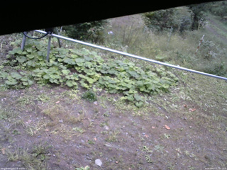 長野県菅平高原 ゆたか山荘 駐車場 2026/09/27 12:15