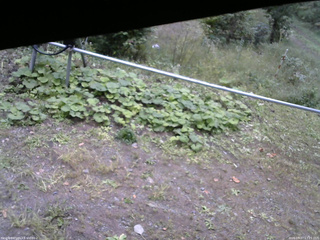 長野県菅平高原 ゆたか山荘 駐車場 2026/09/27 13:15