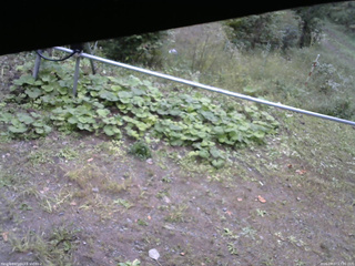 長野県菅平高原 ゆたか山荘 駐車場 2026/09/27 13:30