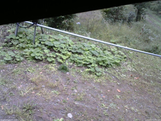 長野県菅平高原 ゆたか山荘 駐車場 2026/09/27 15:00