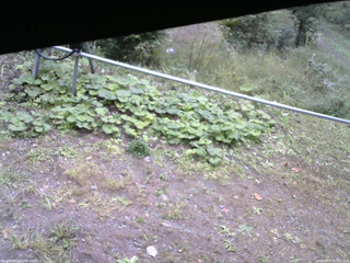 長野県菅平高原 ゆたか山荘 駐車場 2026/09/27 15:30