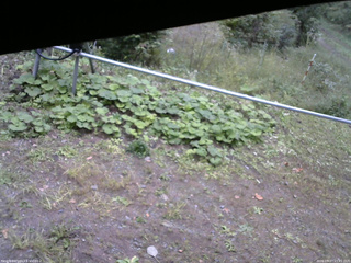長野県菅平高原 ゆたか山荘 駐車場 2026/09/27 15:45