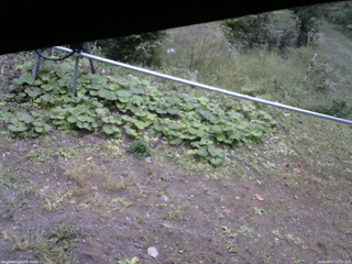 長野県菅平高原 ゆたか山荘 駐車場 2026/09/27 16:15