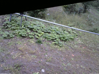 長野県菅平高原 ゆたか山荘 駐車場 2026/09/27 16:30