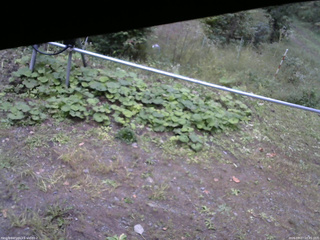 長野県菅平高原 ゆたか山荘 駐車場 2026/09/27 16:45