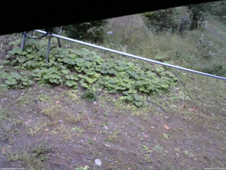 長野県菅平高原 ゆたか山荘 駐車場 2026/09/27 17:00