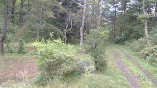 長野県菅平高原 ゆたか山荘 坂上 2026/09/27 06:00