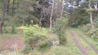 長野県菅平高原 ゆたか山荘 坂上 2026/09/27 06:15