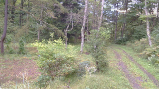 長野県菅平高原 ゆたか山荘 坂上 2026/09/27 06:30