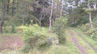 長野県菅平高原 ゆたか山荘 坂上 2026/09/27 06:45