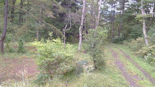 長野県菅平高原 ゆたか山荘 坂上 2026/09/27 07:00