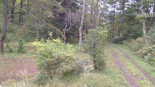 長野県菅平高原 ゆたか山荘 坂上 2026/09/27 07:30