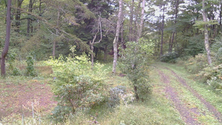 長野県菅平高原 ゆたか山荘 坂上 2026/09/27 08:15