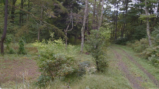 長野県菅平高原 ゆたか山荘 坂上 2026/09/27 09:15