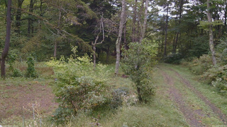 長野県菅平高原 ゆたか山荘 坂上 2026/09/27 09:30