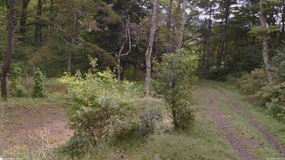 長野県菅平高原 ゆたか山荘 坂上 2026/09/27 10:00