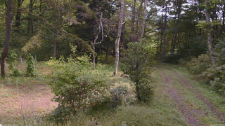 長野県菅平高原 ゆたか山荘 坂上 2026/09/27 10:30