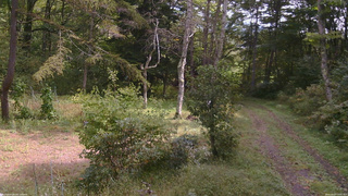 長野県菅平高原 ゆたか山荘 坂上 2026/09/27 10:45