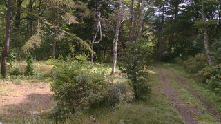 長野県菅平高原 ゆたか山荘 坂上 2026/09/27 11:00
