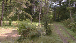 長野県菅平高原 ゆたか山荘 坂上 2026/09/27 11:15
