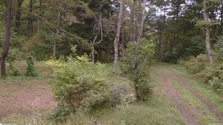 長野県菅平高原 ゆたか山荘 坂上 2026/09/27 12:30