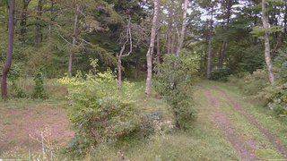 長野県菅平高原 ゆたか山荘 坂上 2026/09/27 12:45