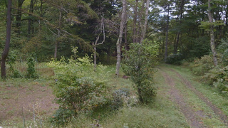 長野県菅平高原 ゆたか山荘 坂上 2026/09/27 13:15