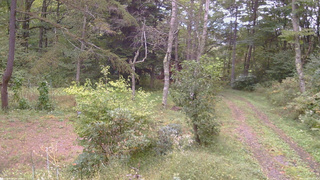 長野県菅平高原 ゆたか山荘 坂上 2026/09/27 15:15
