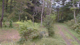 長野県菅平高原 ゆたか山荘 坂上 2026/09/27 16:15