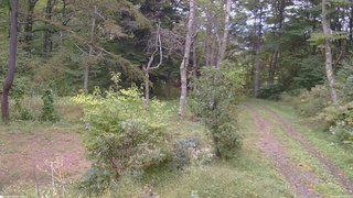 長野県菅平高原 ゆたか山荘 坂上 2026/09/27 16:30