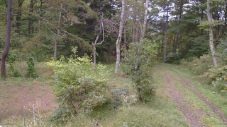 長野県菅平高原 ゆたか山荘 坂上 2026/09/27 16:45