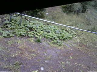 長野県菅平高原 ゆたか山荘 駐車場 2026/09/28 07:00