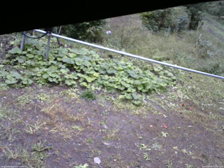 長野県菅平高原 ゆたか山荘 駐車場 2026/09/28 10:00
