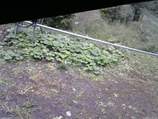 長野県菅平高原 ゆたか山荘 駐車場 2026/09/28 12:15