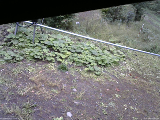 長野県菅平高原 ゆたか山荘 駐車場 2026/09/28 12:30