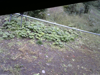 長野県菅平高原 ゆたか山荘 駐車場 2026/09/28 12:45