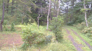 長野県菅平高原 ゆたか山荘 坂上 2026/09/28 06:45