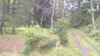長野県菅平高原 ゆたか山荘 坂上 2026/09/28 08:00
