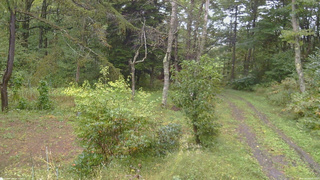 長野県菅平高原 ゆたか山荘 坂上 2026/09/28 09:00