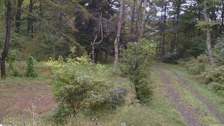 長野県菅平高原 ゆたか山荘 坂上 2026/09/28 09:45
