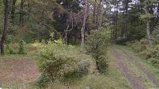 長野県菅平高原 ゆたか山荘 坂上 2026/09/28 10:15
