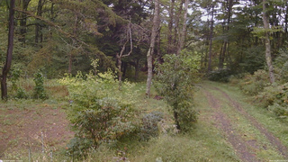 長野県菅平高原 ゆたか山荘 坂上 2026/09/28 12:00
