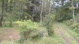 長野県菅平高原 ゆたか山荘 坂上 2026/09/28 13:00