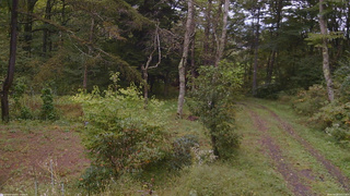 長野県菅平高原 ゆたか山荘 坂上 2026/09/28 15:15