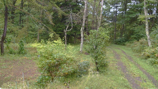 長野県菅平高原 ゆたか山荘 坂上 2026/09/29 09:00