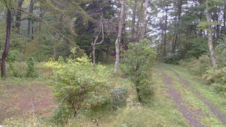 長野県菅平高原 ゆたか山荘 坂上 2026/09/29 11:00