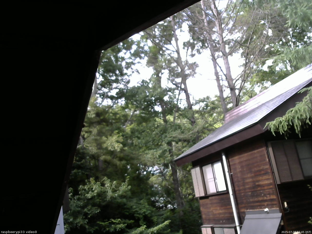 長野県菅平高原 ゆたか山荘 北側 2025/07/16 15:45